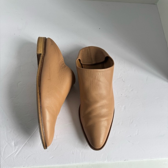 Everlane Modern Babo Mule. Size 9